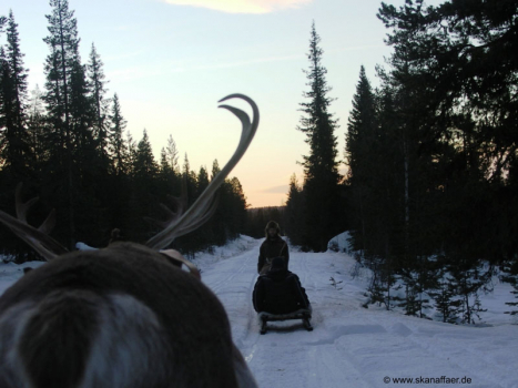 Kostenloses Wallpaper: Winter in Lappland