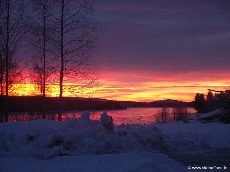 Kostenloses Wallpaper: Winter in Norrbotten