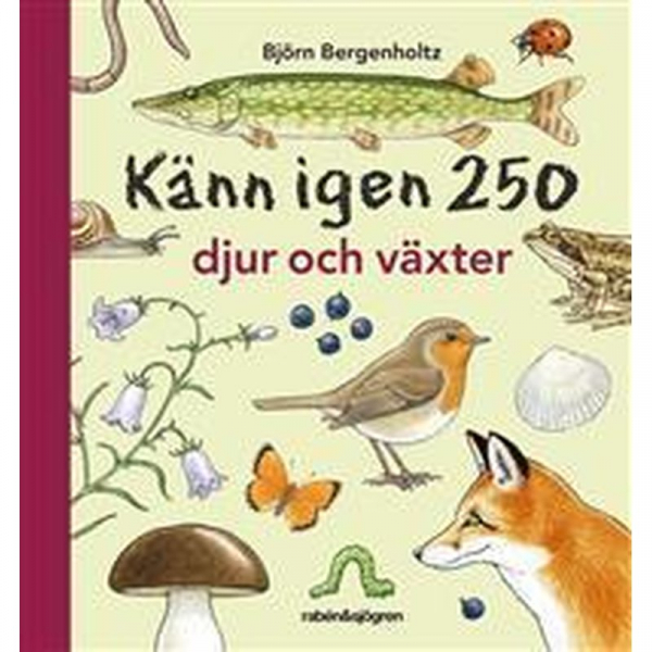 Våra fåglar & deras läten, Buch, Med den här boken och medföljande cd-skiva kan du lära dig att känna igen våra vanligaste fåglar och deras läten.